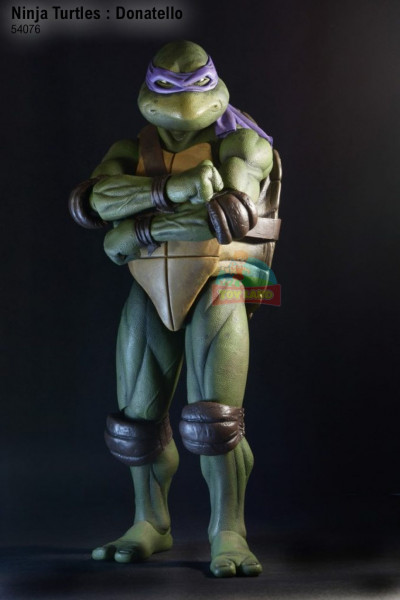 Ninja Turtles : Donatello-54076